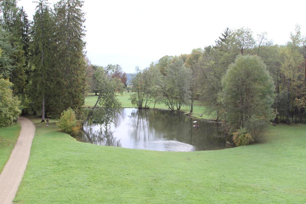 Bed and Breakfast Chateau Du Breuil Gevrolles Zimmer foto